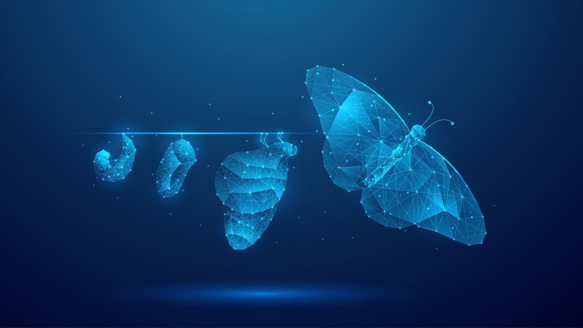 Illustration of butterfly evolution symbolizing digital transformation concept