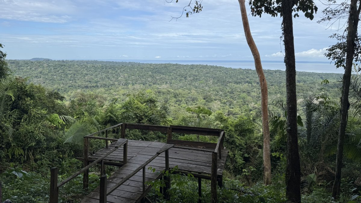 Fascinating view of an endless, untouched forest in the Amazon