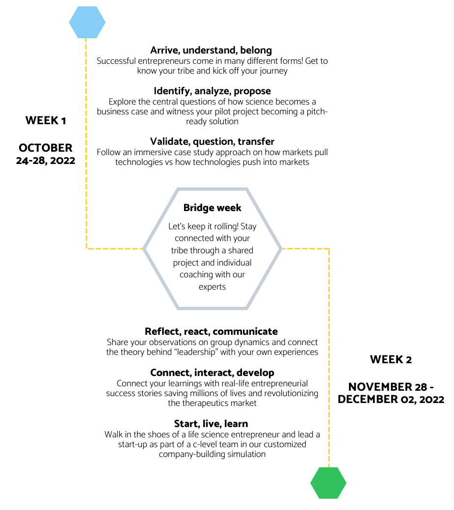 LISEAD timeline