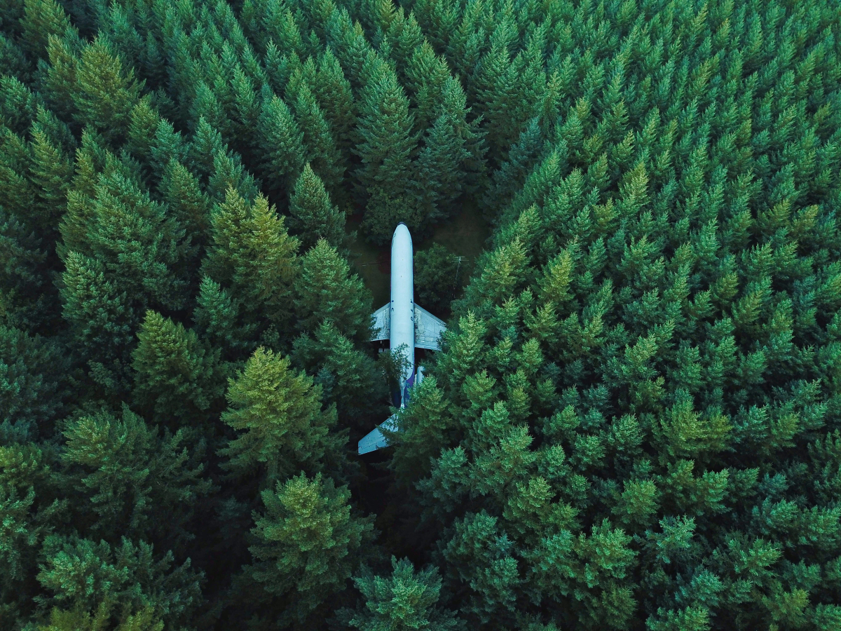 plane in the middle of a forest