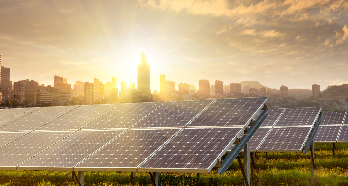solar panels in a filed with city skyline in the background and sun shinin