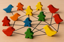 A photograph captures a vibrant network of multicolored wooden birds and meeples, connected by crisp white lines against a neutral beige background. 