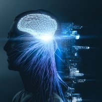 Digital brain with circuits