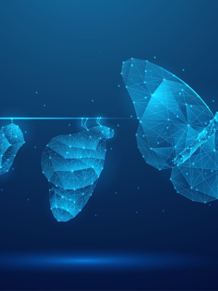Illustration of butterfly evolution symbolizing digital transformation concept