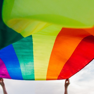 large rainbow flag is held in the air by two barely visible small hands