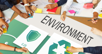 Students working on environmental topics