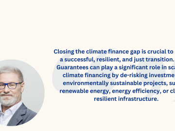 SciFi_Expert Forum Climate Finance_2025-speaker quote-Lars-Hendrik Röller