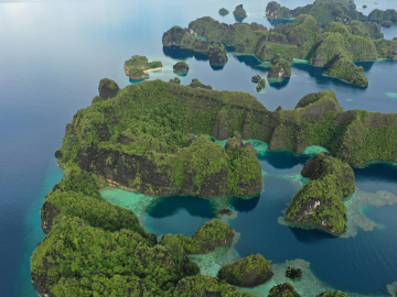 biodiversity-action_Advocacy-and-Collaboration_IST