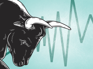 Bull head