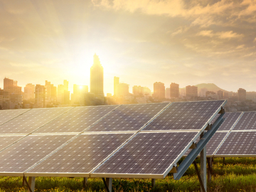 solar panels in a filed with city skyline in the background and sun shinin
