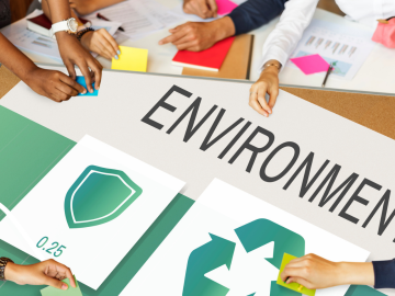 Students working on environmental topics