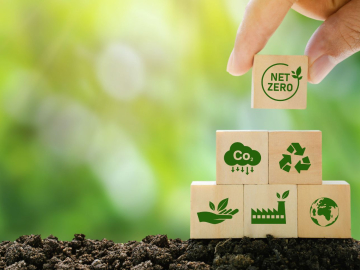 Net Zero and Carbon Neutral Concepts, Net Zero Emissions Goals, Ready to put wooden blocks by hand with green net center icon and green icon on wooden background.