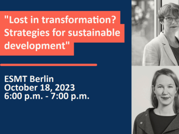 Lost in transformation? Strategies for sustainable development