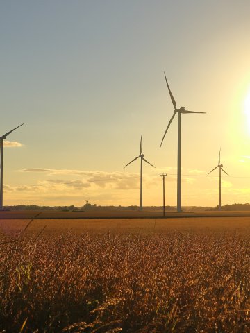 Wind and sun