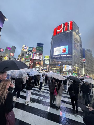 Image of downtown Tokyo in the rain