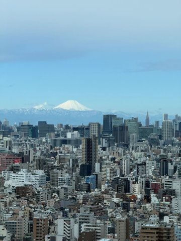 Image of downtown Tokyo with Mt Fuji visible