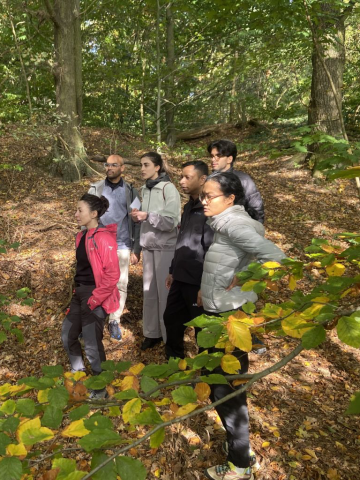 The ESMT Berlin Part-time MBA students during an off-campus module in the forest