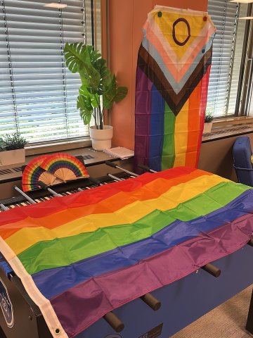 A pair of rainbow Pride flags in the student's common room at ESMT Berlin 