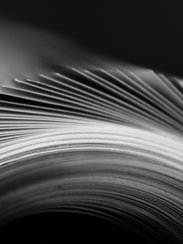 DSI Publications