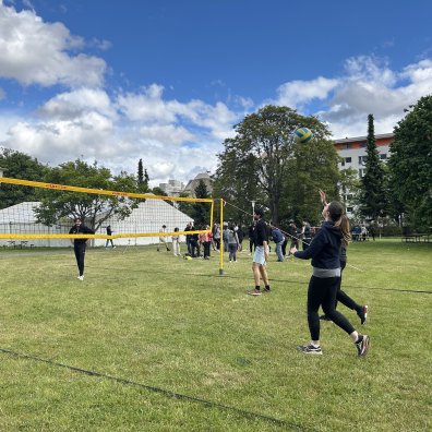 volleyball