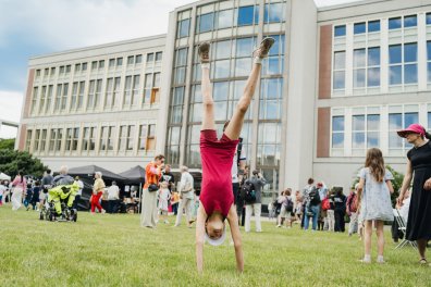 Neighborhood Festival 