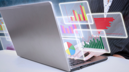 Data Analyses 