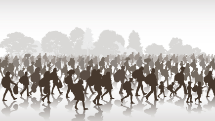 Immigration movement