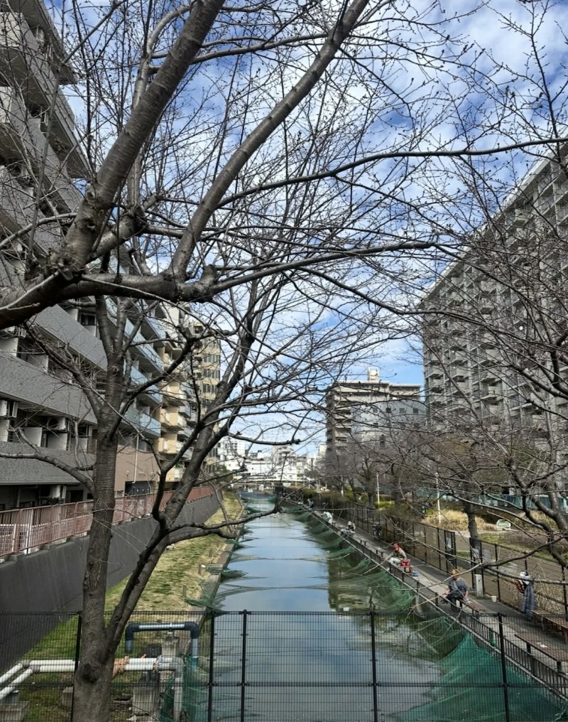 Image of a people fishing in a river in in Tokyo