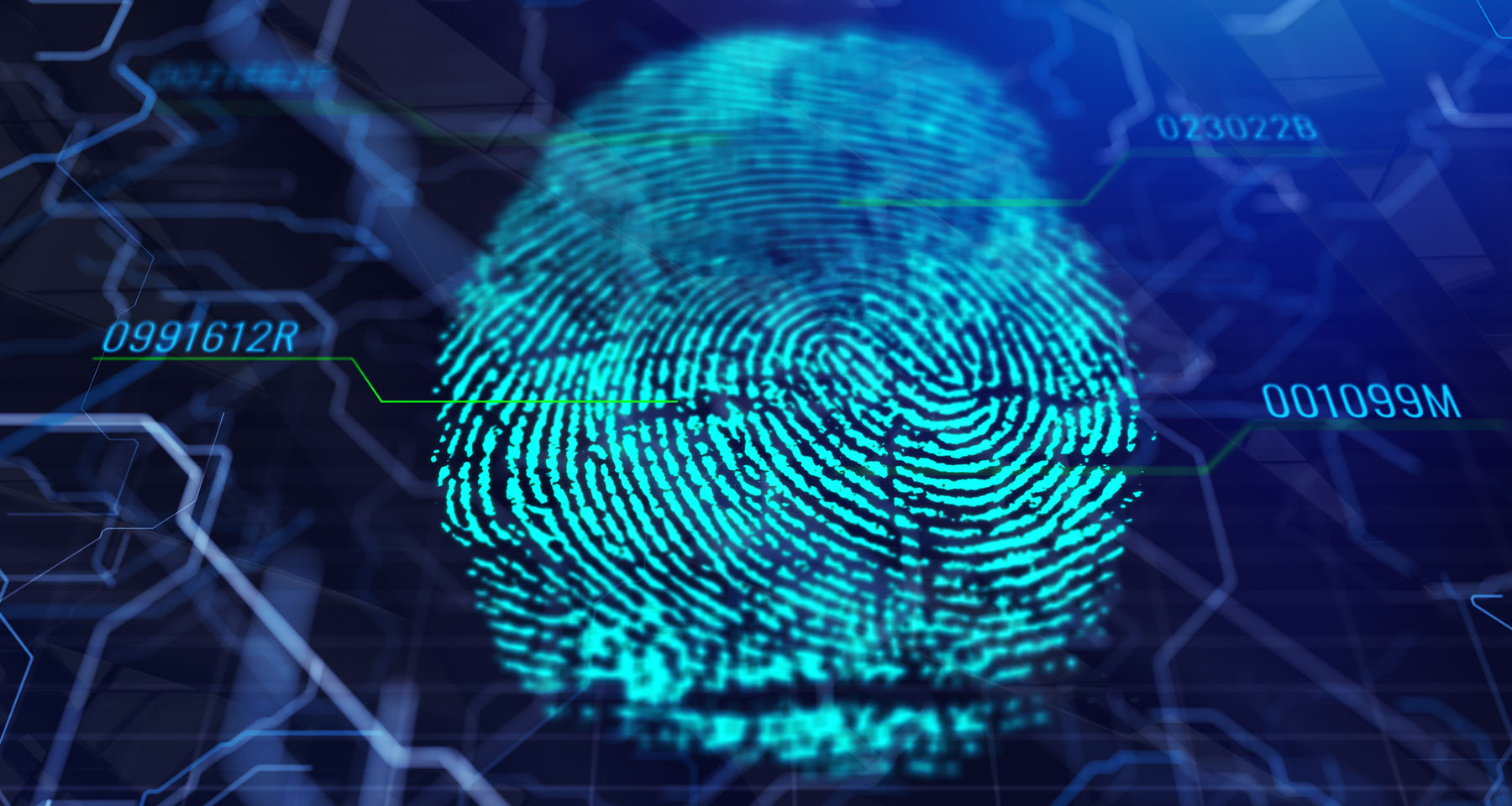 Identifying the potential in digital identity | ESMT Knowledge