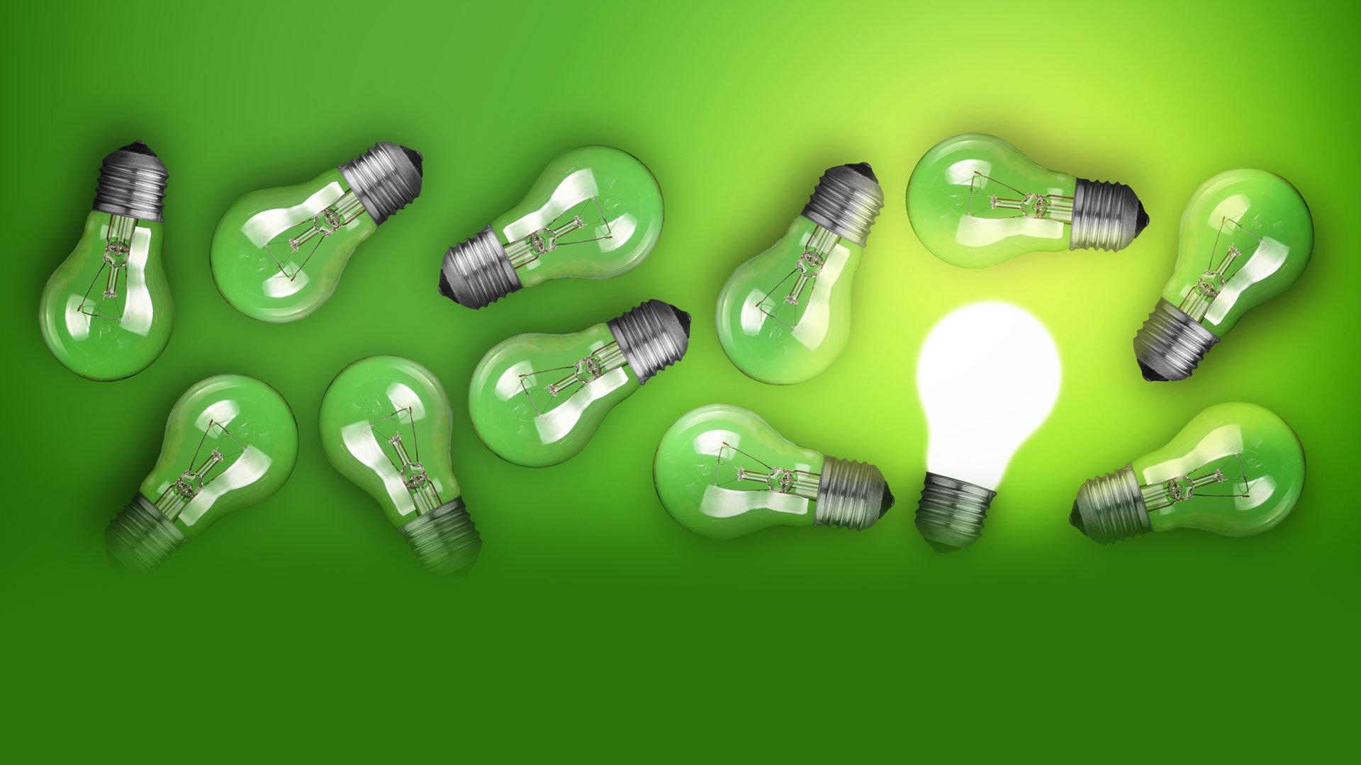 Light bulbs on green background 