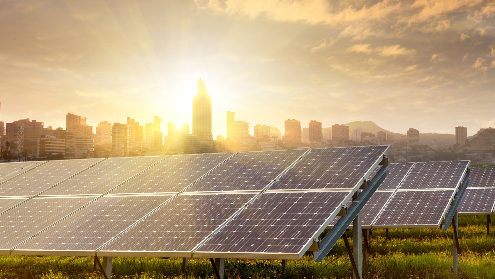 solar panels in a filed with city skyline in the background and sun shinin