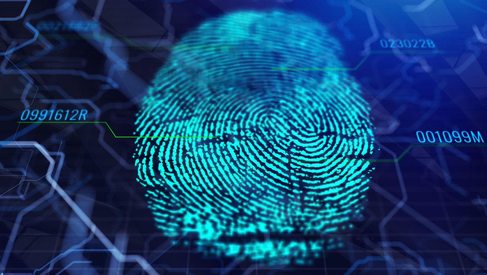 Digital fingerprint background